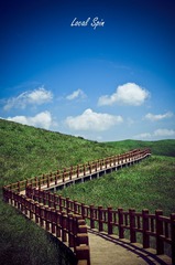 “IMGP3526”为智能对象-1.jpg