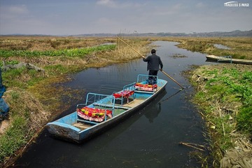 威宁草海