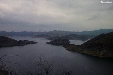 织金