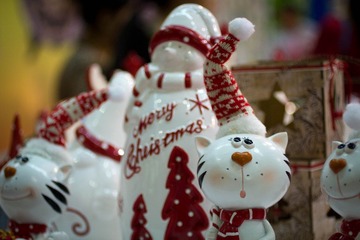 IMG_4514.jpg