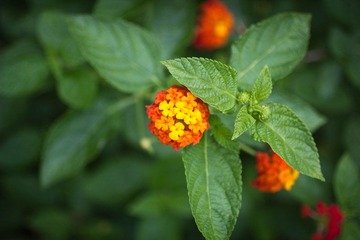 IMG_4847.jpg