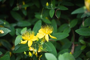 IMG_4851.jpg