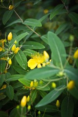 IMG_4853.jpg