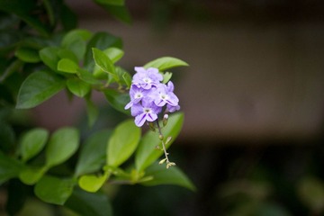 IMG_4877.jpg
