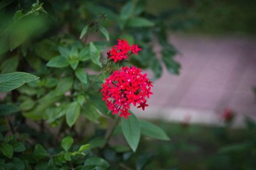 IMG_4900.jpg