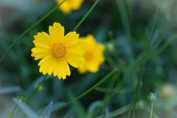 IMG_4908.jpg