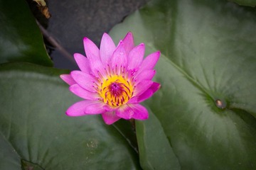 IMG_4910.jpg