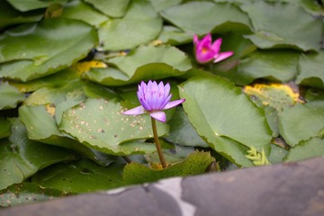 IMG_4920.jpg