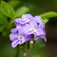 IMG_4891.jpg