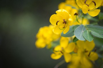 IMG_6979.jpg