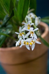 IMG_8886.jpg