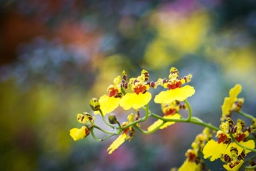 IMG_8881.jpg