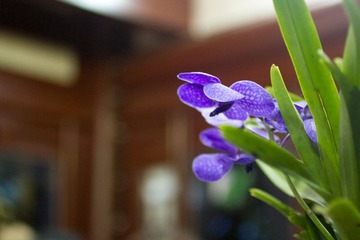 IMG_8887.jpg