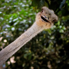 IMG_6999(0).jpg