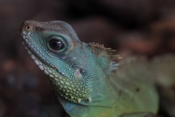 IMG_7035.jpg