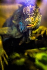 IMG_7054.jpg