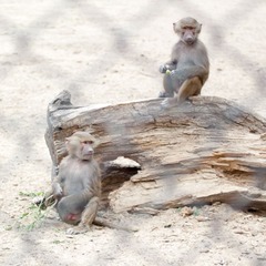 IMG_5619.jpg