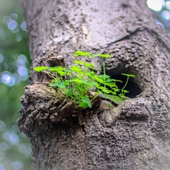 IMG_8264.jpg