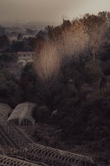 111010