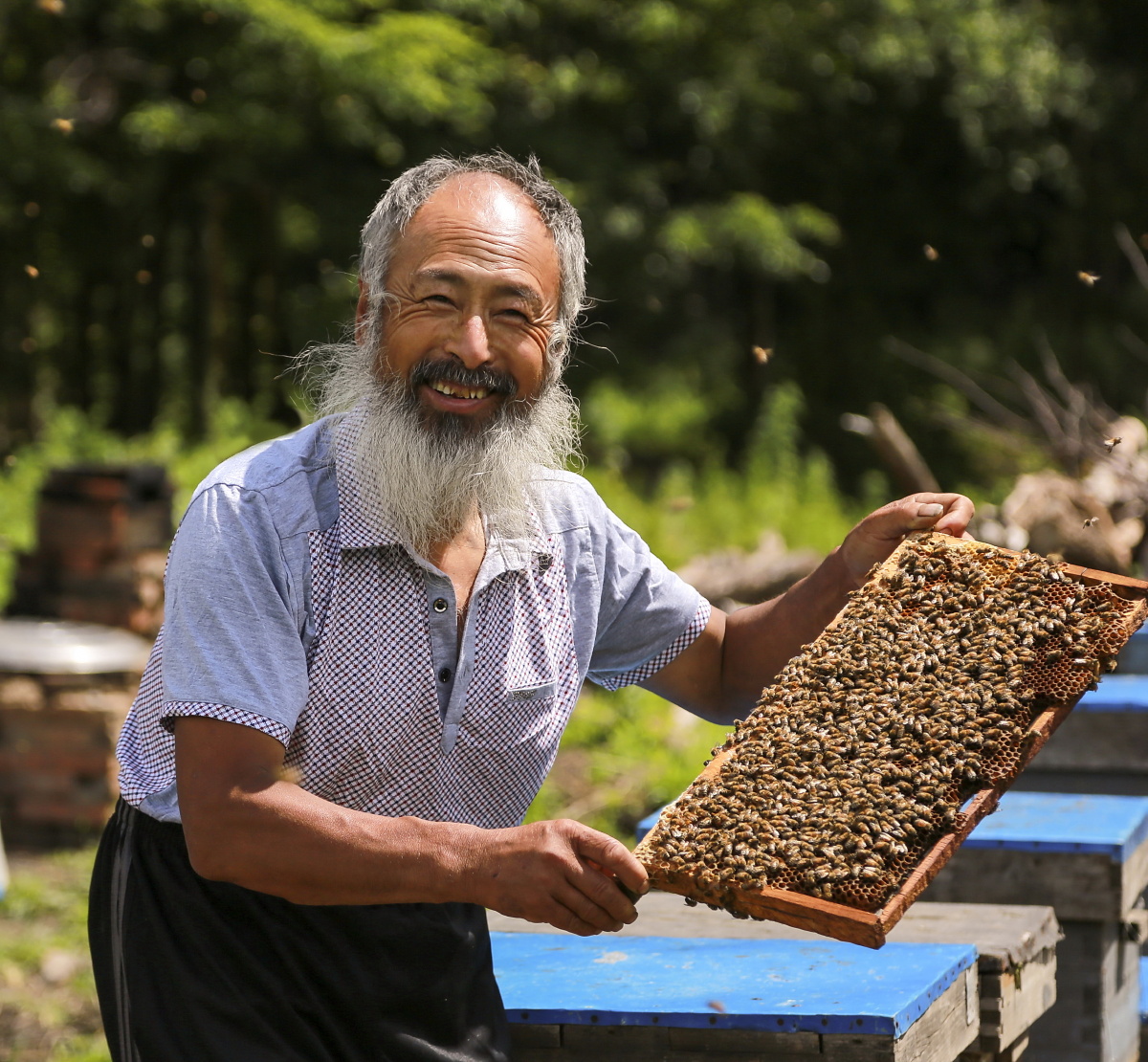 大山里的养蜂人,朴实无华,为了甜蜜事业,为了蜂收,不辞辛苦.我赞美你.