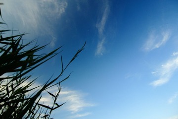 IMG_1684.JPG