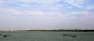 IMG_1557.JPG