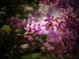 P1030042
