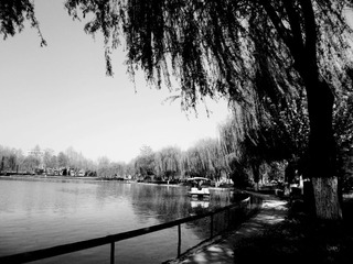 P1030079