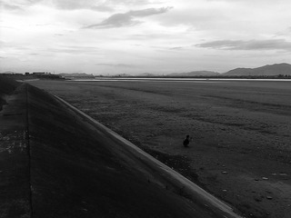 C360_2010-08-06 16-49-40