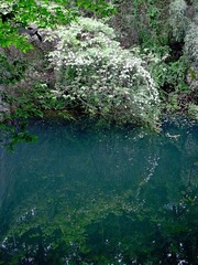 R0031565