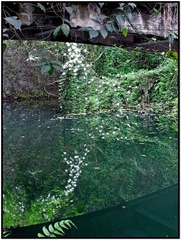 R0031568