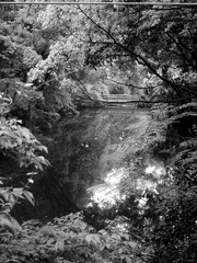 R0031576