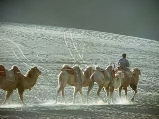 IMG_6077_DxO