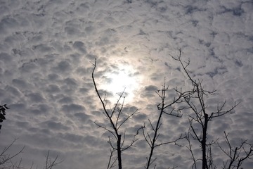 130516