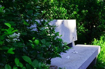 DSC_1519.JPG