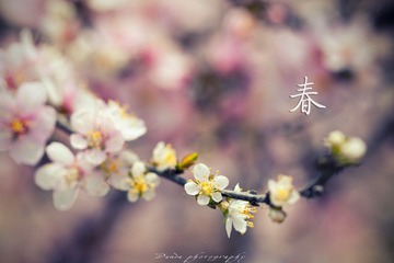 IMG_0883-3.jpg