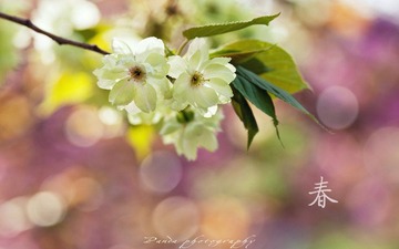 IMG_1028-5.jpg