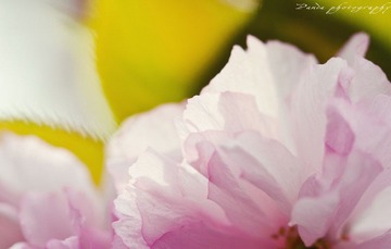 IMG_1236-4.jpg