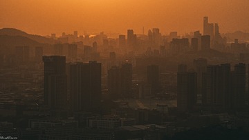 220006