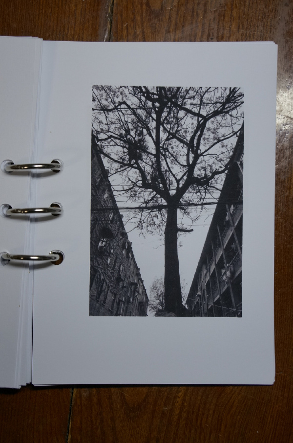 年轻时纹在臂膀上的图腾,经历五十多年雨水与阳光的洗礼依然隐约可辨