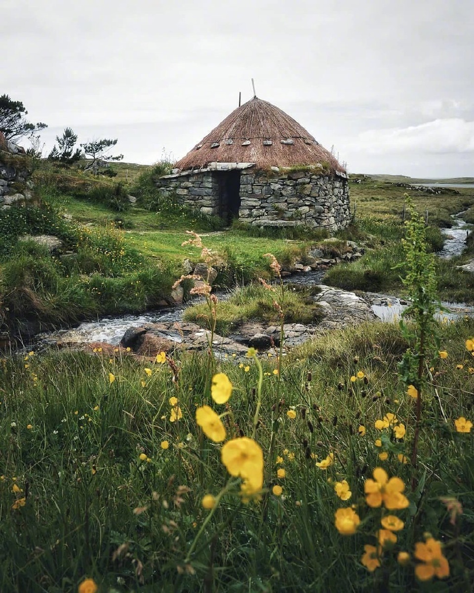 苏格兰牧场好美