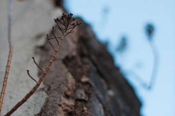 _DSC0187 - 