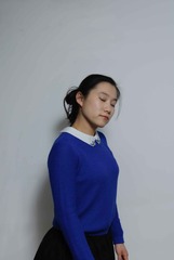 LP20131215003