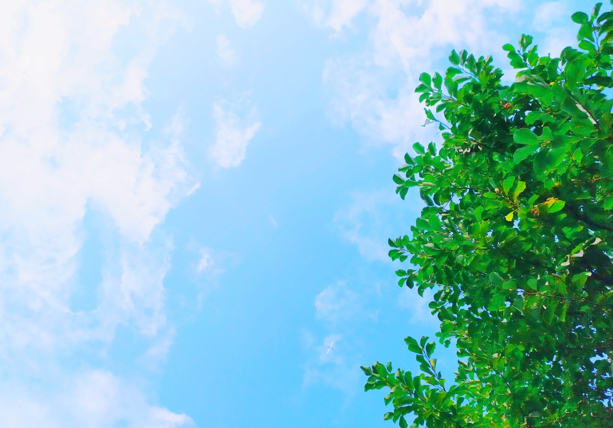 天气晴朗的好日子统统给你