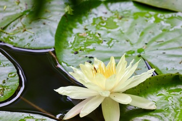 E3679944-8D46-49AB-97B0-0BFBD6044181/L0/001