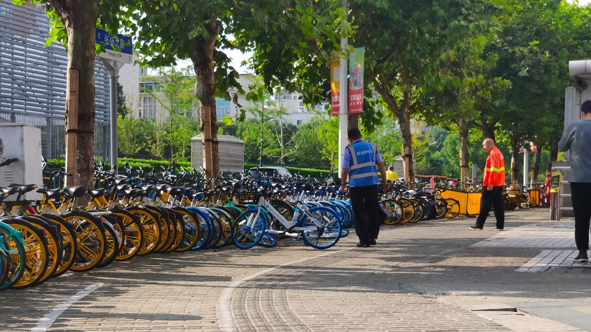 有序的共享单车摄于博兴路地铁口