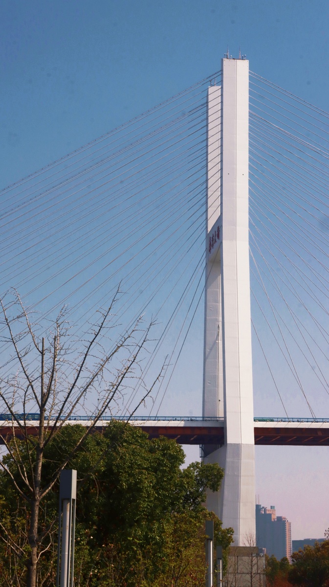 南浦大桥浦西段街拍