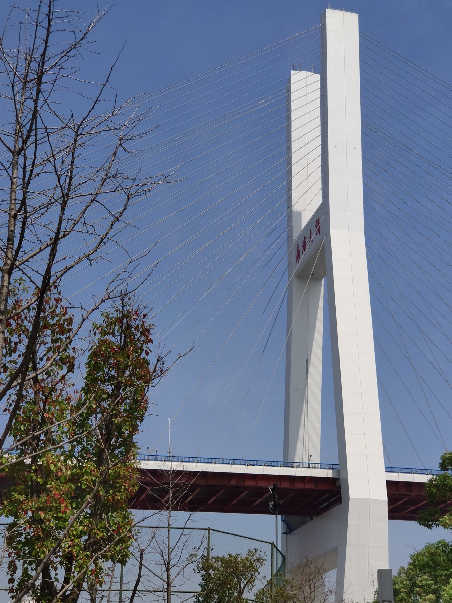 南浦大桥浦西段街拍