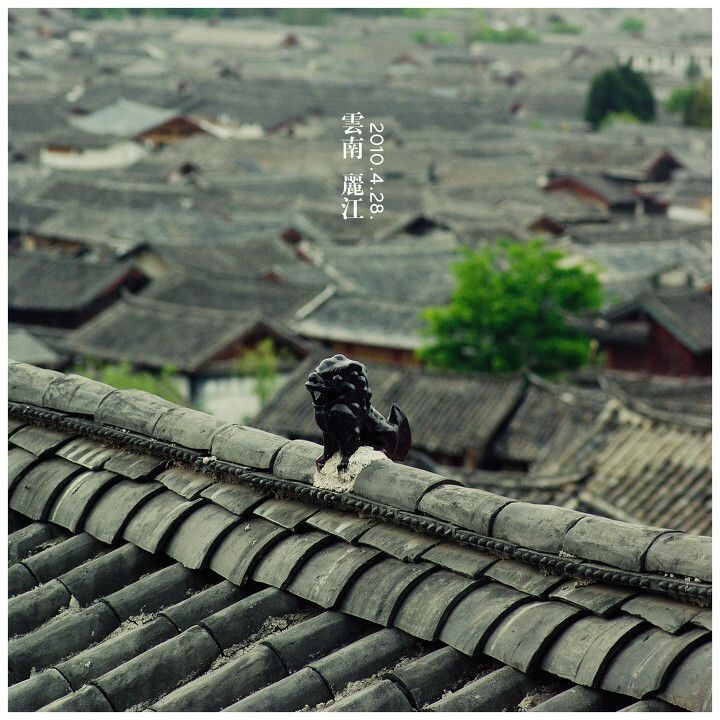丽江<br />
