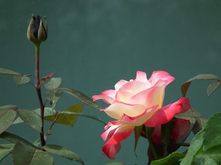 001